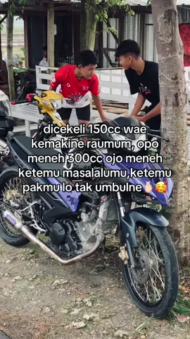 mumbul karo mringis😹#fyp #bjn24jam #mxprostreet #mxkingsolostyle #mxsoloraya 