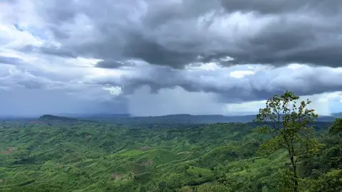 Sajek Valley 😍❤️‍🩹💫 #sajekvelly #nature #pahar #resort #beauty 