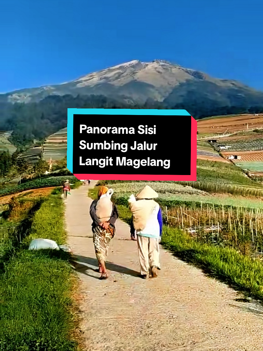 Seindah ini panorama sisi gunung sumbing magelang jateng 🌿❤😍#sisisumbing #gunungsumbing #magelangexplore #lagujawa #padahariini 