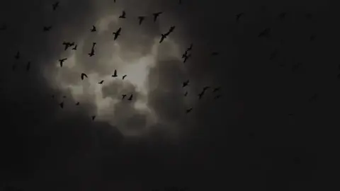 @انت لروحي🤍 . . . . . ...#يامولاي_يابا_عبدالله_الحسين #خادمه_ابا_عبدالله_الحسين #مصممه_اهل_البيت_عليهم_السلام #شيعة_الامام_علي_عليه_السلام #اللهم_اشهد_اني_والـيت_علي_وال_بيته #اني_شيعيه_وافتخر_باميري_الامام_علي #تصاميمي😔🤎 #ياصاحب_الزمان🤎✨✨ 