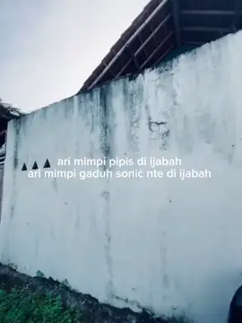 t fyp hapus iemah #anjingedan #dprnibous #sonicgarasax⚡ #sonictasik🏴‍☠️ #sonicthehedgehog 