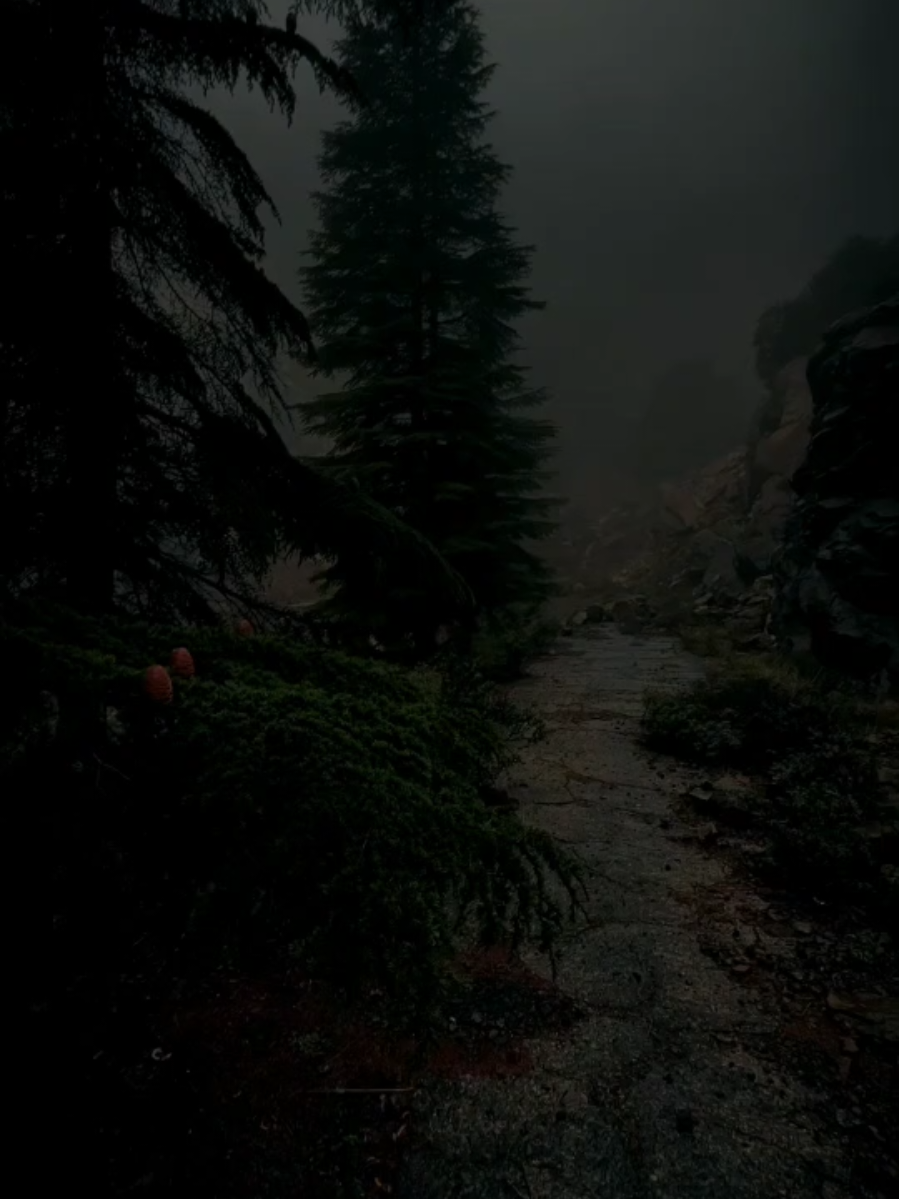 سوڕەتی (یونس) - القارئ : سوران صديق