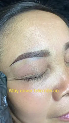 Mày sửa trên nền cũ, phun mày hạt mịn #pmu #xuhuongtiktok #trending #phunxamthammy 