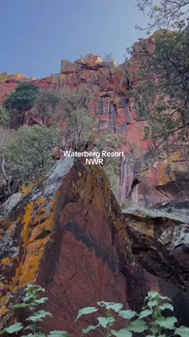Hidden in the red cliffs of Waterberg Plateau, this NWR resort is where early mornings start with birdsong and end with sunsets over the endless bushveld 👣  #VisitNamibia #travel #namibia #fyp #waterbergplateau 