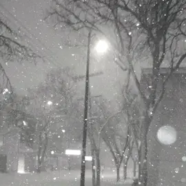 Yung Trappa (real name Vladislav Olegovich Shiryaev) is a Russian rapper and songwriter in the hip-hop and trap genres. He is considered one of the pioneers of trap music in Russia and the founder of its popularization in Russian rap.He was born on August 14, 1995, in St. Petersburg. He started rapping at the age of 11 under the pseudonym MC Compact.#рекомендации #fyp #рек #dope #yungtrappa 