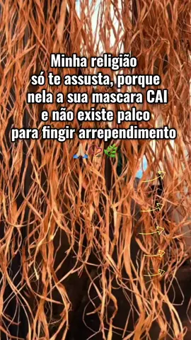 Aqui ninguém finge luz… a verdade aparece sozinha.  segue, curte e comenta 🙏🏼🌿❤️  #umbandasagrada #energia #espiritualidade #orixas 