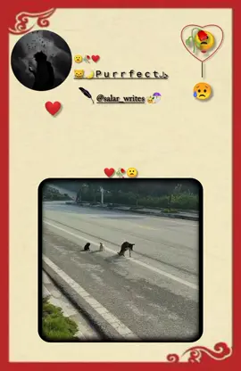 #creatorinsights #repostplz #viral_video #follow #repostplz 