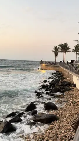 #اكسبلور #اكسبلور #اكسبلورexplore #اكسبلور_تيك_توك #اكسبلور 