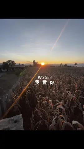 我爱你💓#fyp #foryou 