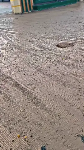 pas lgi gacor gacor nya🤙🔥🔥 #4u #fypシ゚ #kulisawit #sawitkalimantan🌴🌴🇮🇩 #tandanberduri 