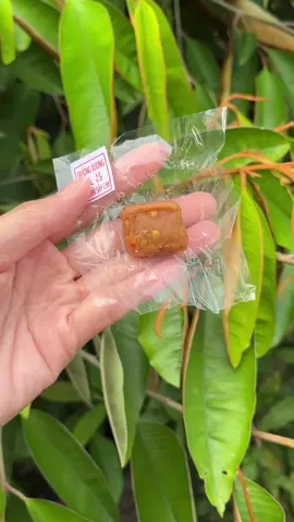 Kẹo me thái sấy cay trường xương, chua chay ngọt ngọt cay cay ngon lắm lun nè #keometruongxuong #keomevuongtruongxuong #reviewanngon #pianchay🍒 #ttlk 