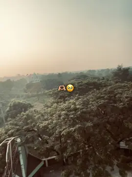 🥹🩹 #viral #tanding #foryou #lyricsvideo #fyp 