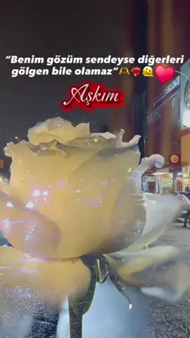 #keşfet #foryou#fyp  aşkım ♥ #by_vtecaskin61 