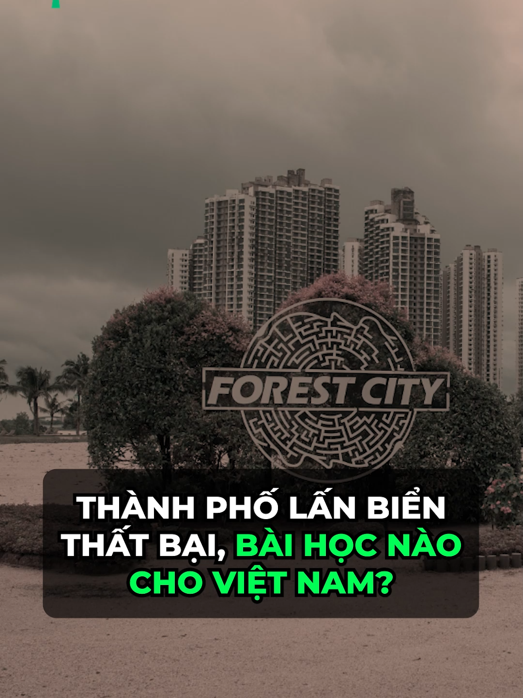 Thành phố lấn biển thất bại và bài học nào cho Việt Nam? #everybuddy #kinhte #thoisu