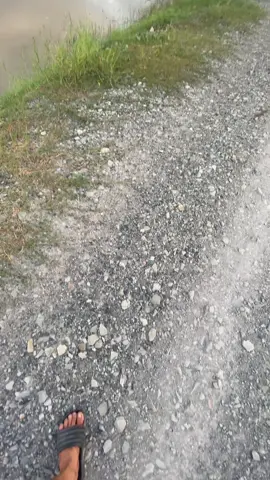 Tôi đã ước mơ..?