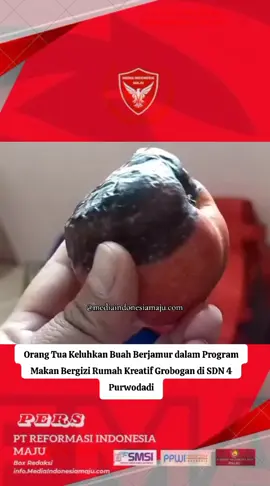 Purwodadi – Program pemberian makanan bergizi (MBG) di SD Negeri 4 Purwodadi kembali dikeluhkan orang tua murid. Seorang wali murid mengaku kaget dan kecewa ketika mendapati buah apel dan kurma yang diterima anaknya dalam kondisi sudah berjamur. “Buah apel dan kurma yang sudah berjamur dari MBG hari ini anak saya dapat kayak gini. Kok makin parah sppg-nya. Ini anak manusia bukan bebek,” keluh orang tua tersebut dalam pesan yang beredar di grup wali murid, Senin (24,11,25). Ia juga meminta pihak sekolah dan pengelola penyedia pangan gizi (SPPG) untuk lebih serius dalam memperhatikan kualitas makanan yang diberikan kepada peserta didik. “Mohon pencerahan bapak ibu guru untuk disampaikan ke pihak SPPG-nya untuk lebih peduli dan diperhatikan betul-betul. Gini kok katanya ada ahli gizinya, miris,” lanjutnya. Peristiwa itu disebut terjadi dalam layanan MBG di SD Negeri 4 Purwodadi dengan penyediaan konsumsi dari SPPG Rumah Kreatif. Orang tua khawatir, makanan yang tidak layak konsumsi seperti buah berjamur dapat mengganggu kesehatan anak-anak. Hingga berita ini disusun, belum ada keterangan resmi dari pihak sekolah maupun pengelola SPPG Rumah Kreatif terkait keluhan tersebut. Wali murid berharap ada evaluasi menyeluruh, mulai dari proses pengadaan, pengecekan kualitas bahan makanan, hingga distribusi kepada para siswa, agar kejadian serupa tidak terulang. Program makan bergizi pada dasarnya diharapkan membantu pemenuhan nutrisi peserta didik, namun pengawasan mutu menjadi hal yang sangat krusial. Orang tua mendesak agar pihak terkait segera bertindak, karena menyangkut kesehatan dan keselamatan anak-anak di sekolah. #FiturSuaraTikTok #breakingnews #FYP #viral #BeritaViral 