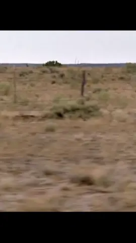 Movie Clip#movies #movieclip #moviescene #moviescenes #movie 