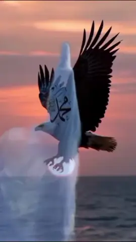 semoga kabar baik menghampirimu#wetonkliwon😘 