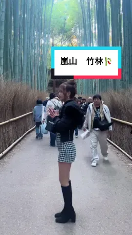 たけ映え🎋 #嵐山 #京都 #京都観光 #fyp #京都グルメ