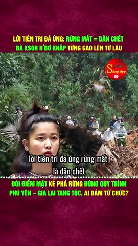 #creatorsearchinsights #tuyenguyenkim #tuyenguyenkim #xuhuongtiktok #nhacxuhuong #tiktokviral 