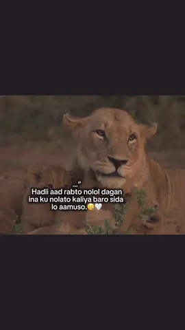 🤐🤍.##viral ##fygpシ ##foryoupage ##fyp ##viralvideo@Hepel.🦇 