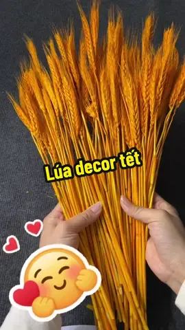 Nhìn thấy lúa là đã ấm no hạnh phúc rồi #chamcunguyen #luatrangtri #tet #xuhuong #decor 