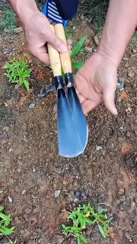 Sekop tanaman berkebun pembersih rumput plant shovel. #sekop  #sekoptanah  #sekoptanaman  #shovel  #alatberkebun 