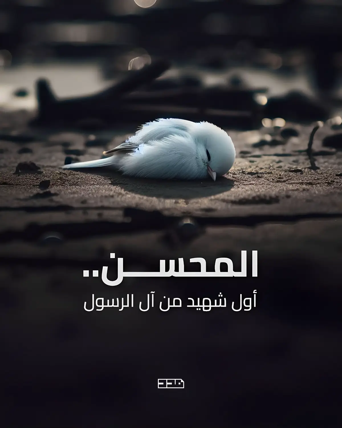 ⁨	سلامٌ على روحٍ وئِدت قبل أن تُولد… وعلى محسنٍ كان دمه أول فصول المظلوميّة..🥀 #المحسن #الرضيع #الجنين #الليالي_الفاطمية_الثالثة  #السيدة_فاطمة_الزهراء_عليها_السلام⁩