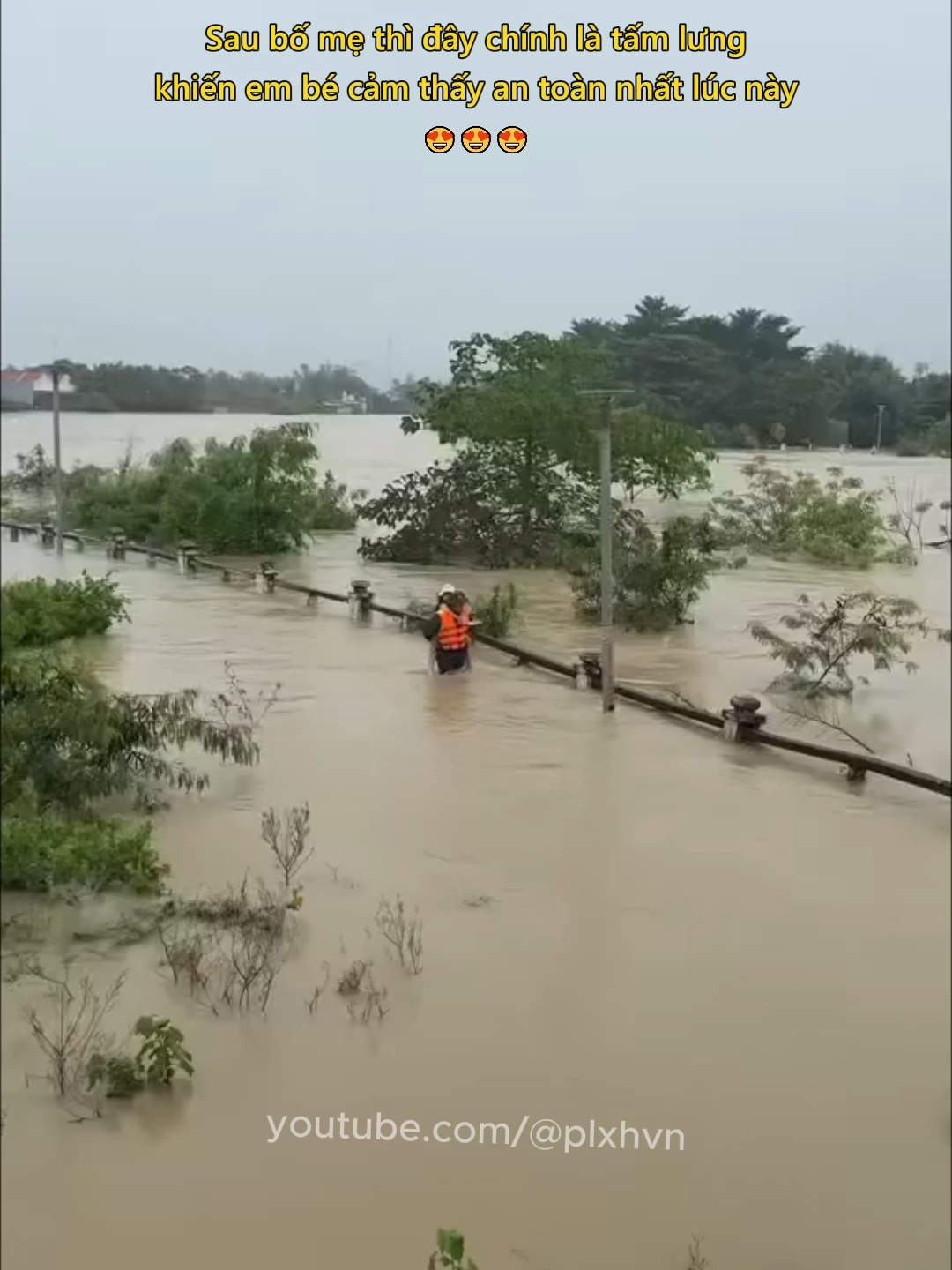 Sau bố mẹ thì đây chính là tấm lưng khiến em bé cảm thấy an toàn nhất lúc này 😍 #dethuong #hanhphuc #plxhvn #phapluatxahoi