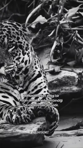 #foryou #foryoupage #preteba #fyp #leopard 