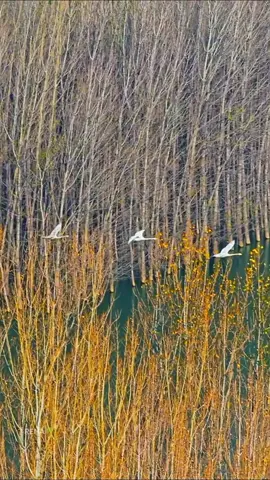 #nature #scenery #fpy #foryou 