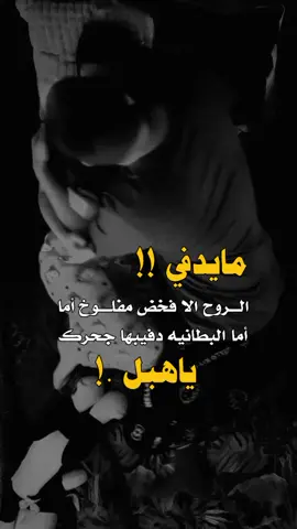 تصاميم_عبارات#اكسبلور 