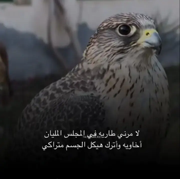 انا في وجه الله