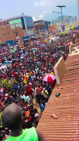 #foryourpage #bobiwine