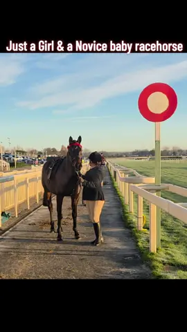 #starschampionofchampions  #aintree #racehorse #showhorse #horsesontiktok 