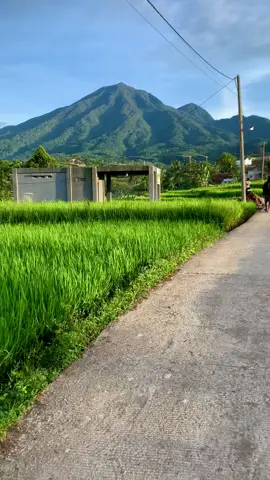 #gunungbunder #pamijahanbogor #jawabarat 