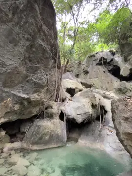 nature therapy🍃 #naturelover #peace #makeitvirаl #fyp 