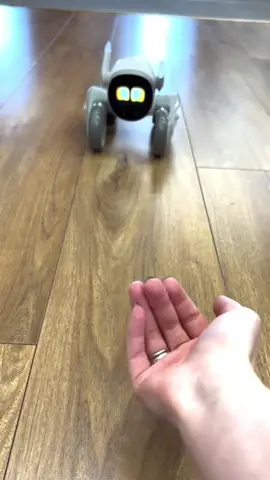 LOONA robot#robot#petrobot#LOONA#funny#Loonarobot