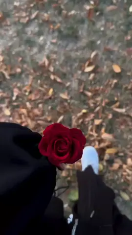 #explore #fowllo #tiktokindia #allah #quran 