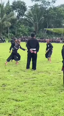 jagoku🐓🔥 #pshtpusatmadiun #pshtjember #pshtrantingledokombo 