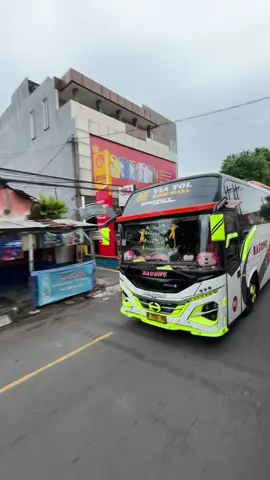 Pesona bagong MERCY REBORN #mercyreborn #bagongmania @Mercyreborn24 