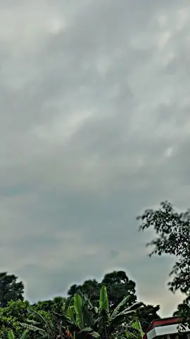 Nyore....☕🌝 @yudhakediri9  #sapipo #gerobaksapi #fypシ #24jamfyp #lewatberanda 