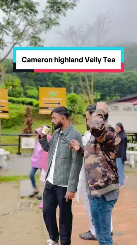 Cameron Highland Velly Tea @Omor Always On Fire #johorbahrumalaysia 