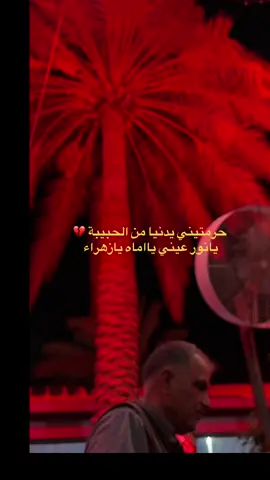 #ملة اسماء المشخاب #العتبة_العباسية_المقدسة #العتبة_الحسينية_المقدسة #حسينيون_الى_الابد #العراق #العالم_العربي #ترند #كربلاء 