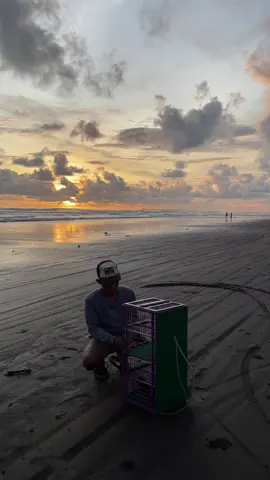 Penerbangan hari ini #merpati #merpatirumahan 