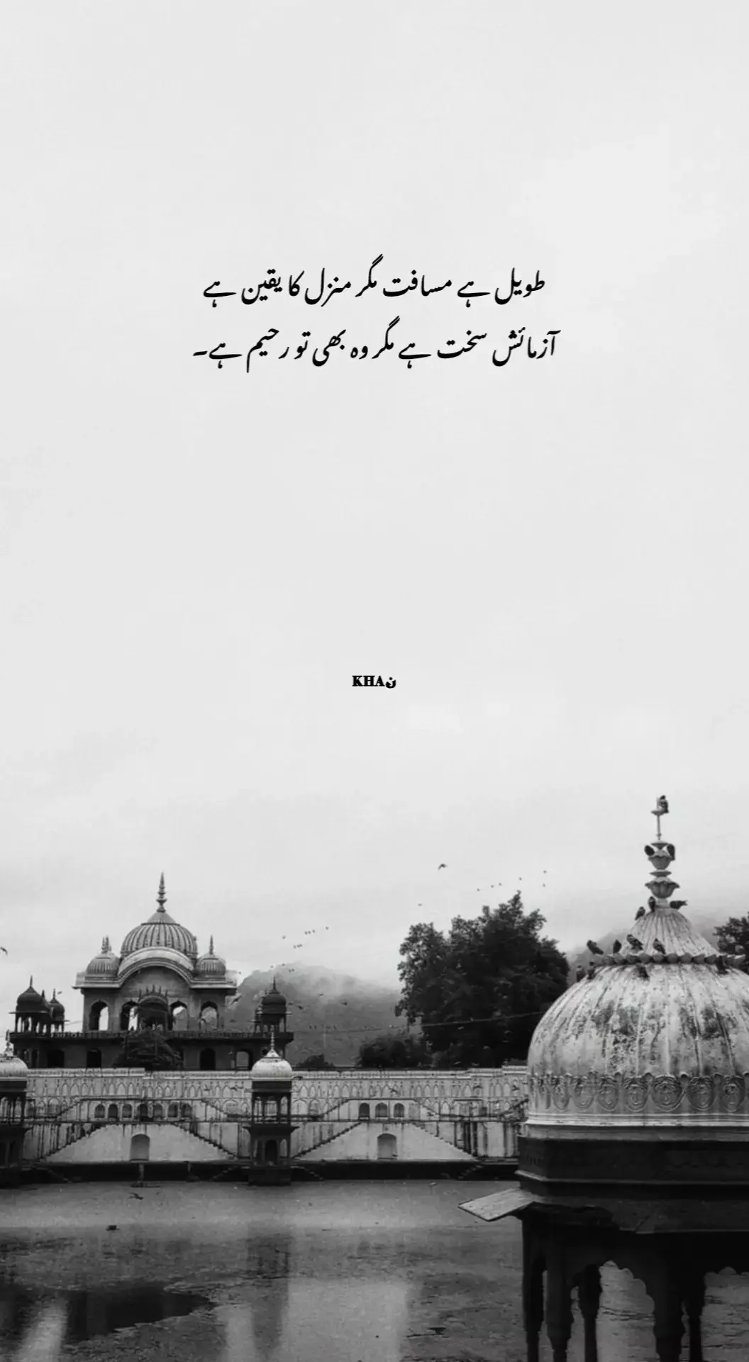 #❤ #plzsupport #newaccount #viralvideo #fyp 