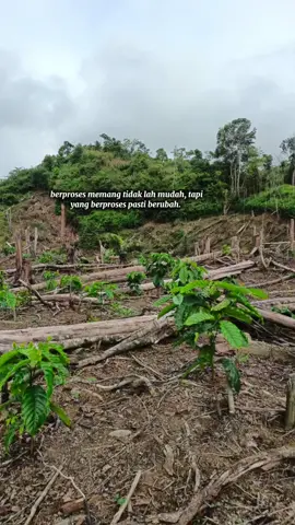 #petani #petanikopi #petanimuda #creatorsearchinsights #ekspresikan2025 