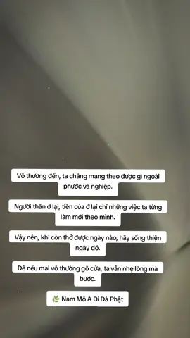 #phatday #vothuong #phatphapnhiemmau #hocphatmoingay #xh 