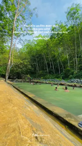 💚#explore #srilankan_tik_tok🇱🇰 #qoutes #life 