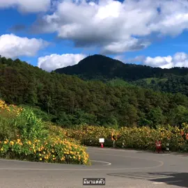 เอามาให้เธอ🌷💗#เธรดเพลง #แท็กบอกความรู้สึก #รับโปรโมทเพลง 